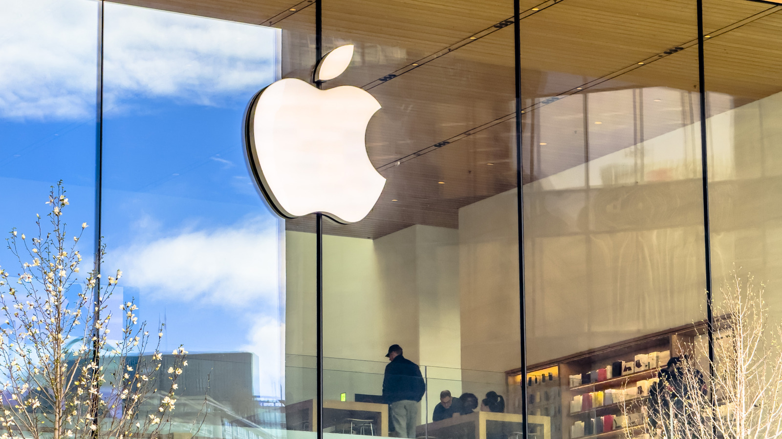 Apple'ın Siri AI ile Güçlendirilmiş Akıllı Ekranı Yolda