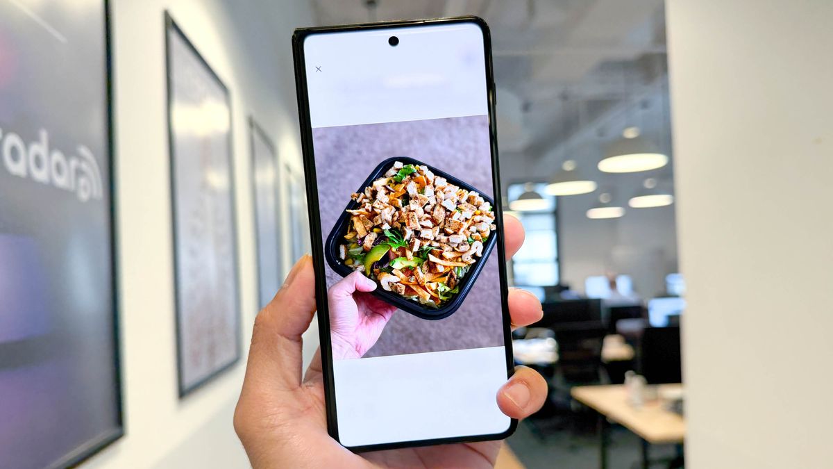 Google Gemini ile Kalori Takibi: Ücretsiz Alternatifin Başarıları