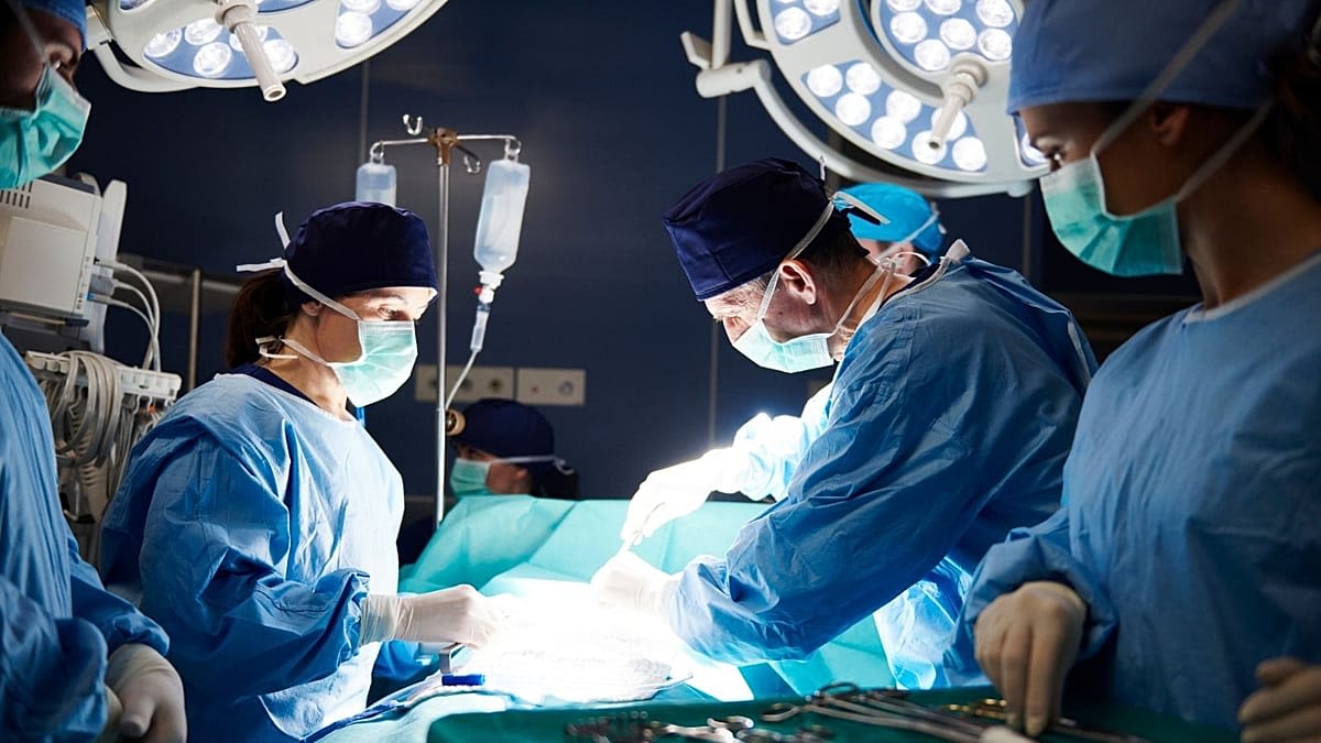 Yapay Zeka ve İnsan Doktorların Organ Nakli Kararları Arasındaki Farklar